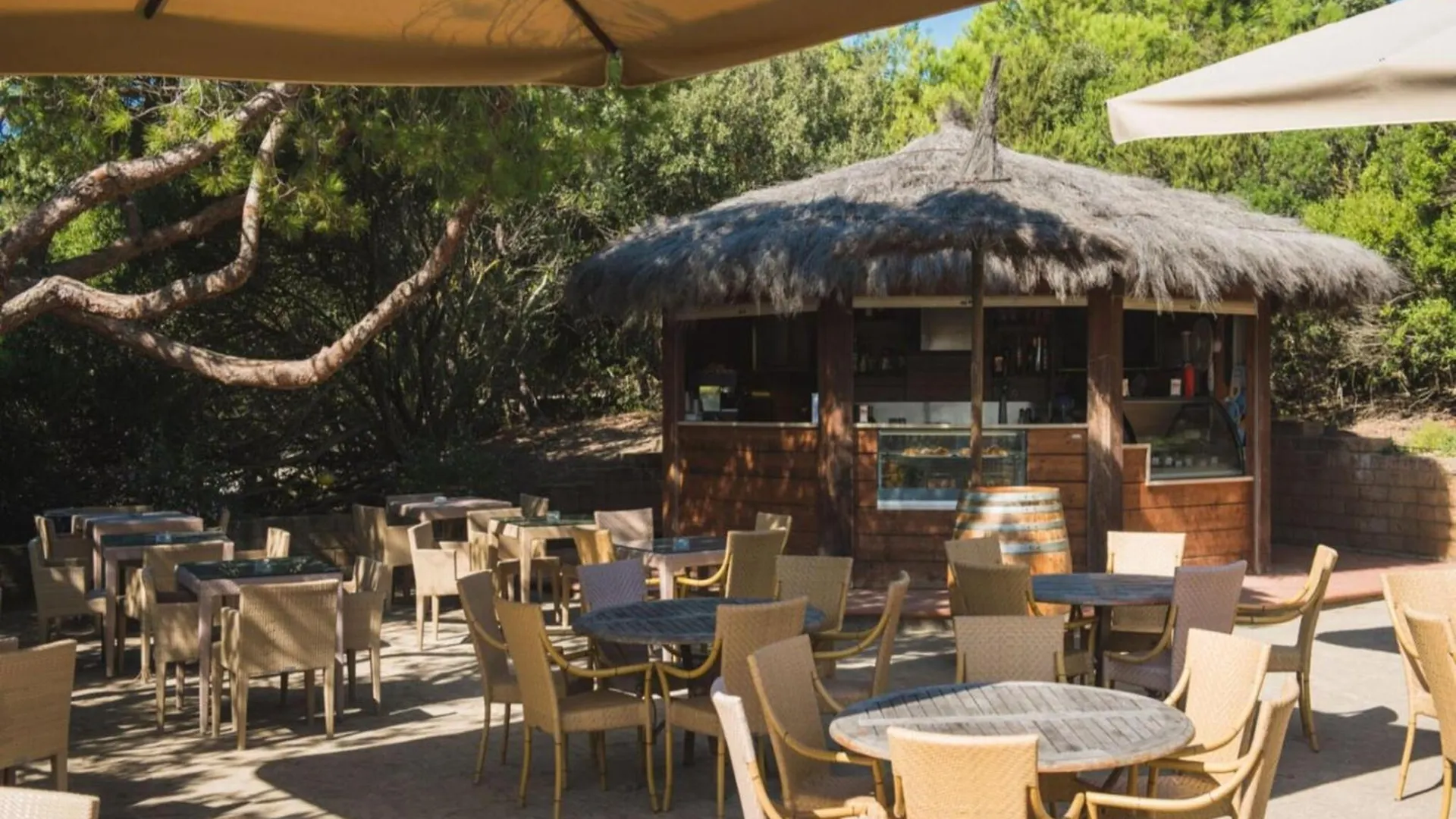 Apartment With Shared Pool Near The Beach Castiglione della Pescaia